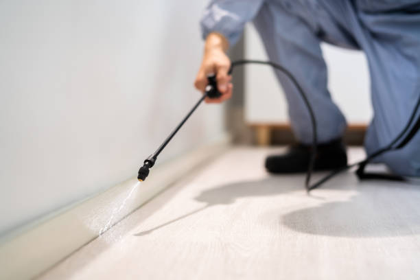 Licensed Pest Control service in Durant, MS - Show Me Pest Control