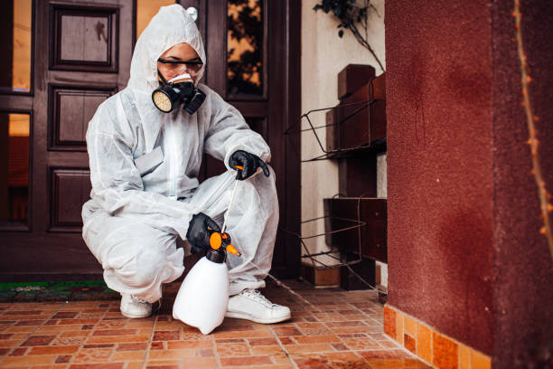 Reliable Ant Control contractor in Durant, MS by Show Me Pest Control